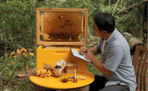 Peningkatan Mutu & Kemitraan